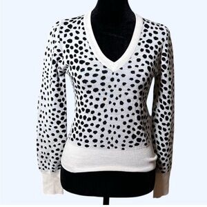 LOFT Leopard V-Neck Sweater